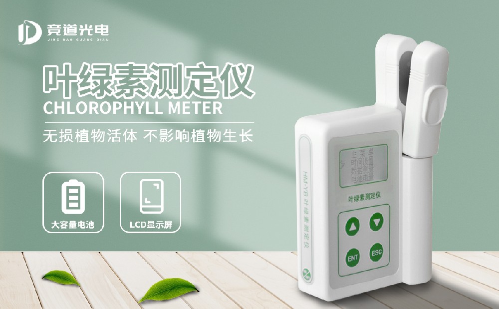使用葉綠素測(cè)定儀掌握植物生長狀況