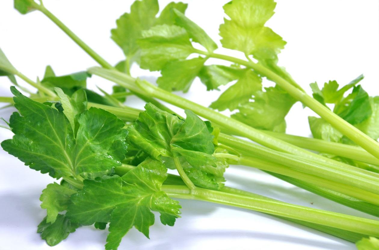 蔬菜是個寶，這些部位也更好！