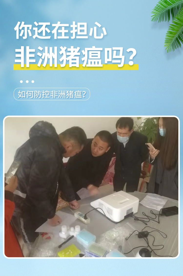 非洲豬瘟檢測儀 非洲豬瘟檢測儀