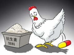 食品抗生素層出不窮，如何檢測？